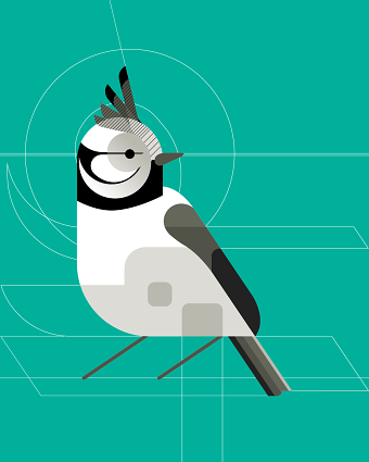 Crested Tit