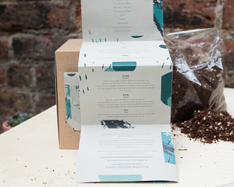 Botanique Workshop: Terrarium