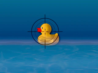Fowl Play