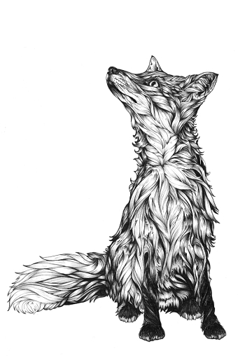 Rebecca the Fox