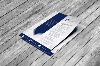 Bizon Capital - Service handout