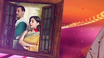 Wanted Bhabi Intro