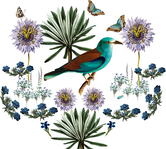 Bluebird