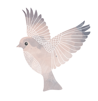 Watercolour Birds