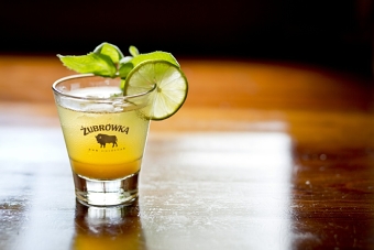 Zubrowka Gold Vodka - Product Launch