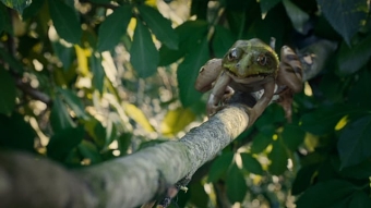 Platige Image CG Reel