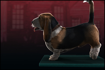 Max