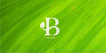 BB Films