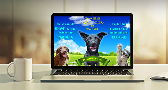 Pro Bono Web Banner Design