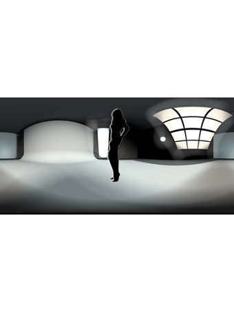 silhouette