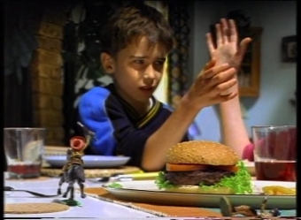 Birds Eye Beefburgers