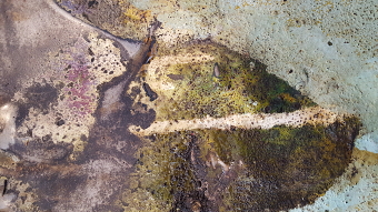 Texture_02