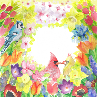 Susan Swan James Illustration