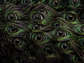 Eye See You