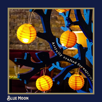 Blue Moon Instagram Series