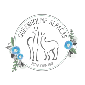 Queenholme Alpacas - Logo Design