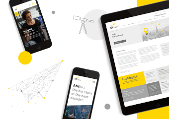 Ernst & Young Microsite