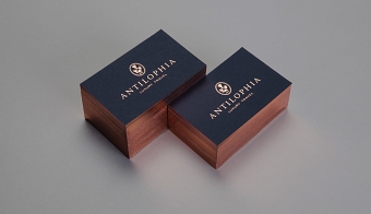 Antilophia brand and website