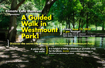 A Guided Walk in the Park