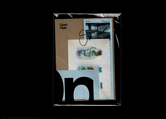 Open Field Publication/ Identity