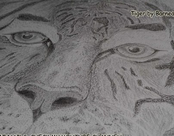 Tiger by Barnea Maria Tereza.