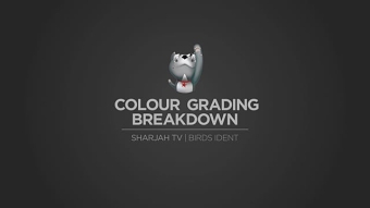 Grading Breakdown | Sharjah TV "Birds"
