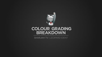 Grading Breakdown | Sharjah TV "Leopard"