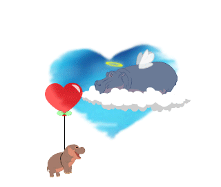 My Fiona Animation