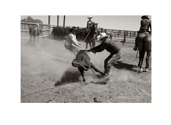 The West : Ranch I