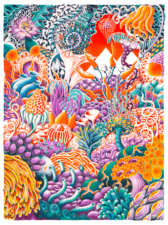 CoralChilli