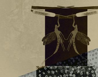 The Mayfly