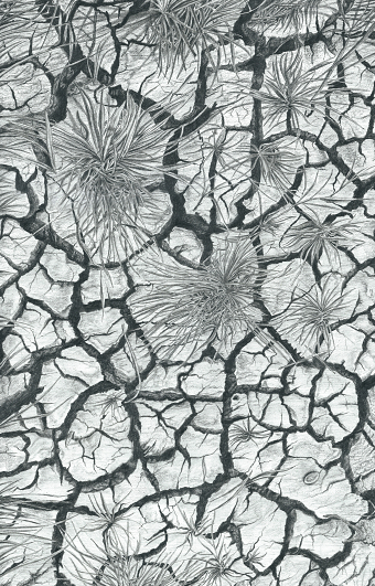 Mud...A study