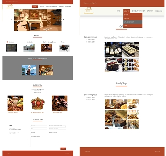 Website design mockups