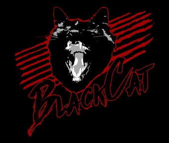 BlackCat logo & branding