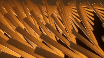 Carbon Wood Ident