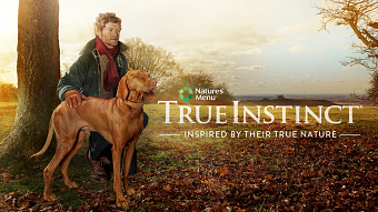 Inspired by Their True Nature