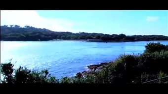G . Shams Badran Show Reel