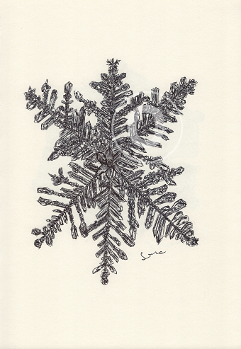 BALLPEN SNOWFLAKES