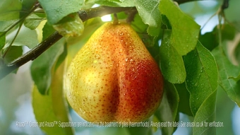 Bum's The Word