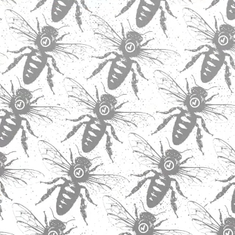 Jimmy's/Se7en Brothers presents - Honeycomb Pale Ale