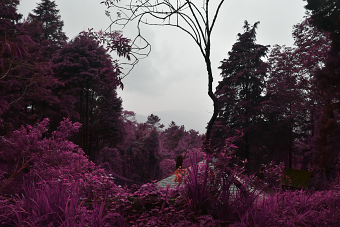 Infrared photography