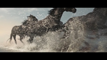 Lloyds 'Running of the Horses'