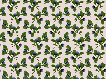 Blueberries
