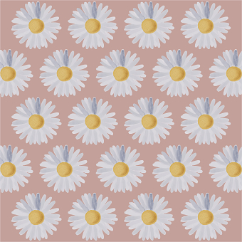 Daisies