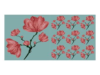 Magnolias