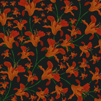 Lilies