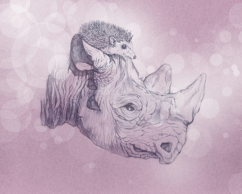 My Illustrations
