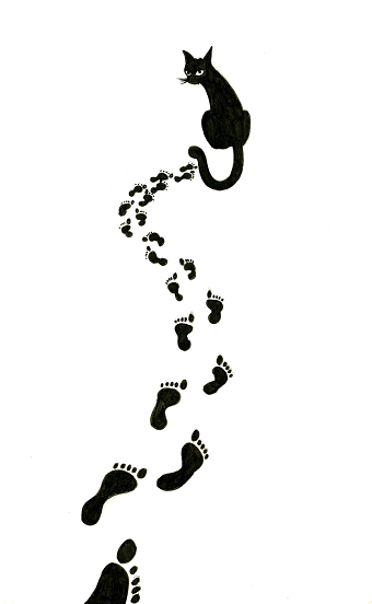 TRAIL