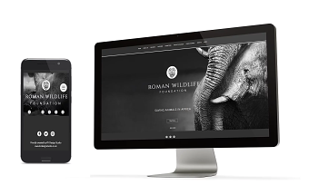 Website Design