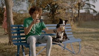 Telkom Lit - Dog Park
